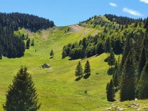 vallée Jura