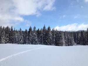 Montagne enneigé Jura